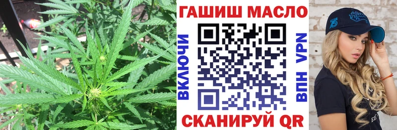 где купить наркоту Сальск Дистиллят ТГК THC oil