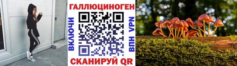Псилоцибиновые грибы Psilocybe  kraken ТОР  Сальск  сколько стоит 